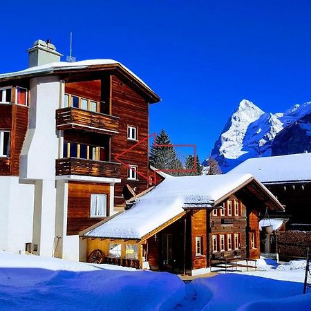 Chalet Anemone 2 Mürren Exterior foto