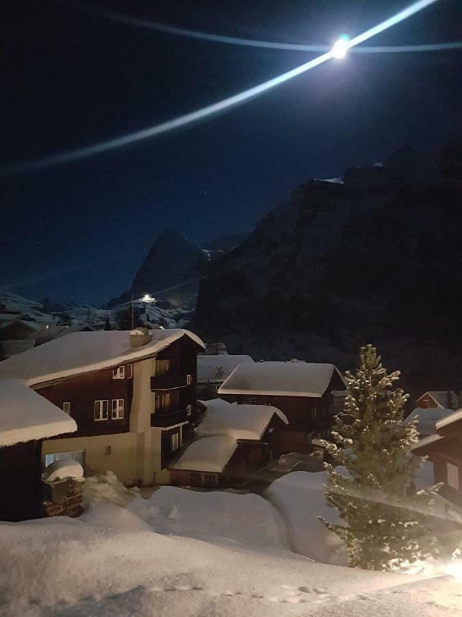 Chalet Anemone 2 Mürren Exterior foto