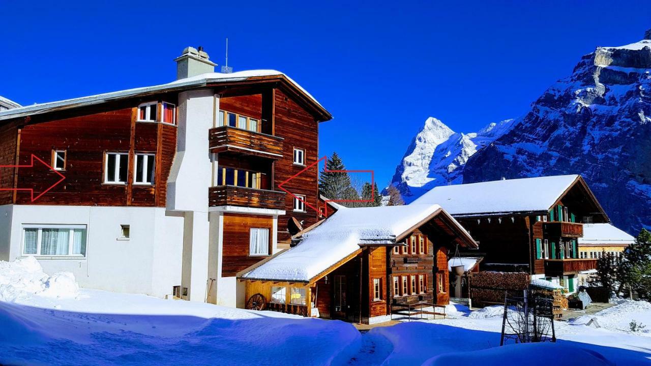 Chalet Anemone 2 Mürren Exterior foto